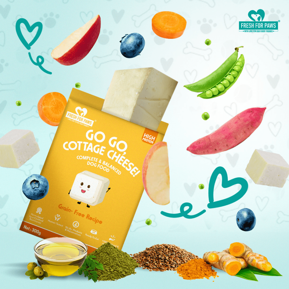 Fresh For Paws Go Go Cottage Cheese Dog Wet Food (300g) image 3