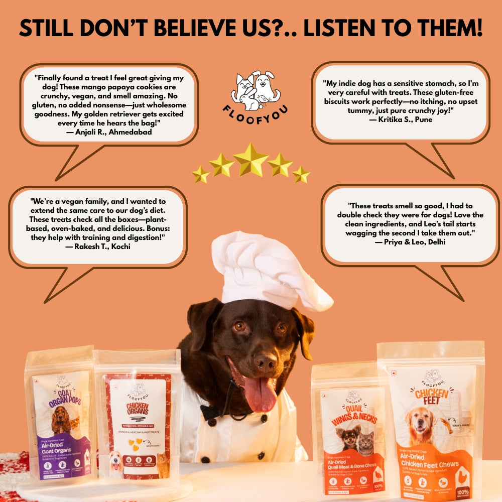 Floofyou Mango Papaya Vegan Oven Baked Cookie Dog Treats image 7