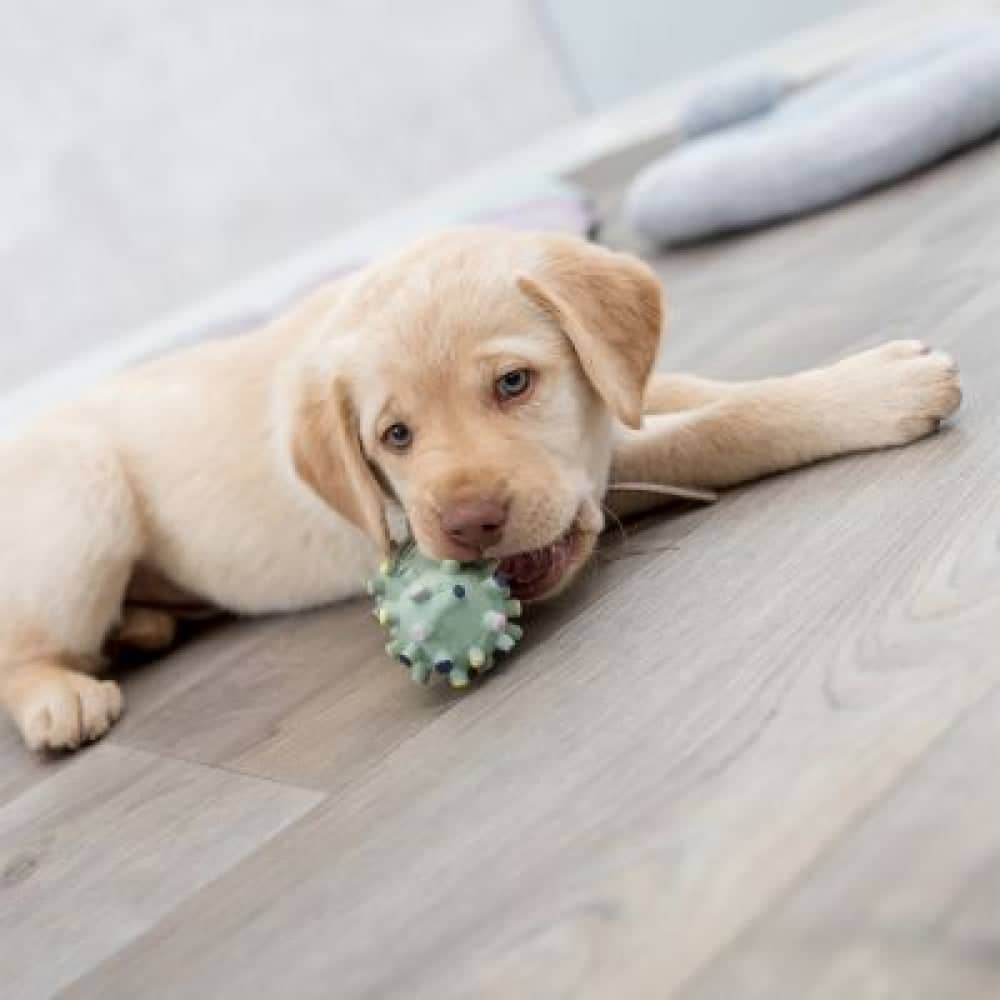 Trixie Mini Dumbbell Latex Toy for Dogs image 4