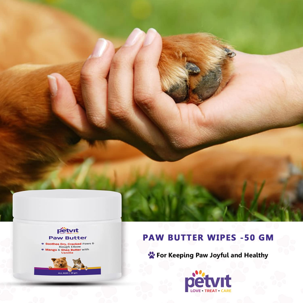Petvit Mango Shea Butter & Lemon Grass Oil Paw Butter for Dogs and Cats image 5