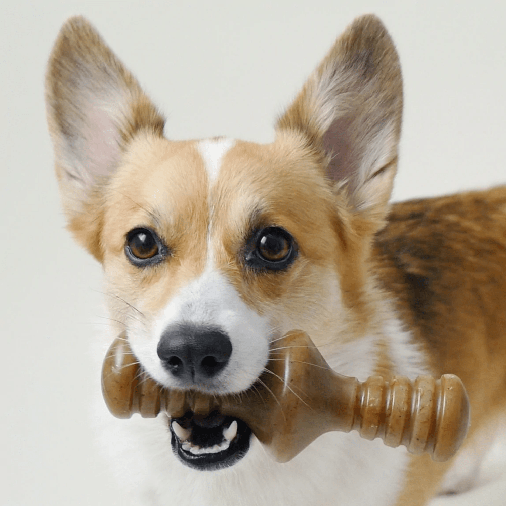 Benebone Chicken Flavored Zaggler Chew Toy  for Dogs image 6
