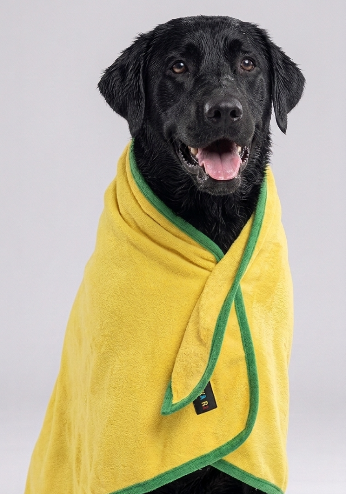 Skatrs Towel for Dogs and Cats (Yellow and Green) image 2
