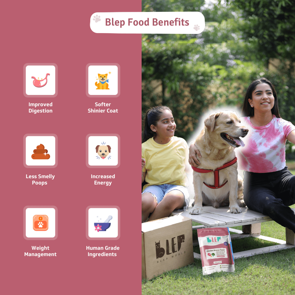 BLEP Chicken Brocco Pawer Dog Wet Food (200g) image 4