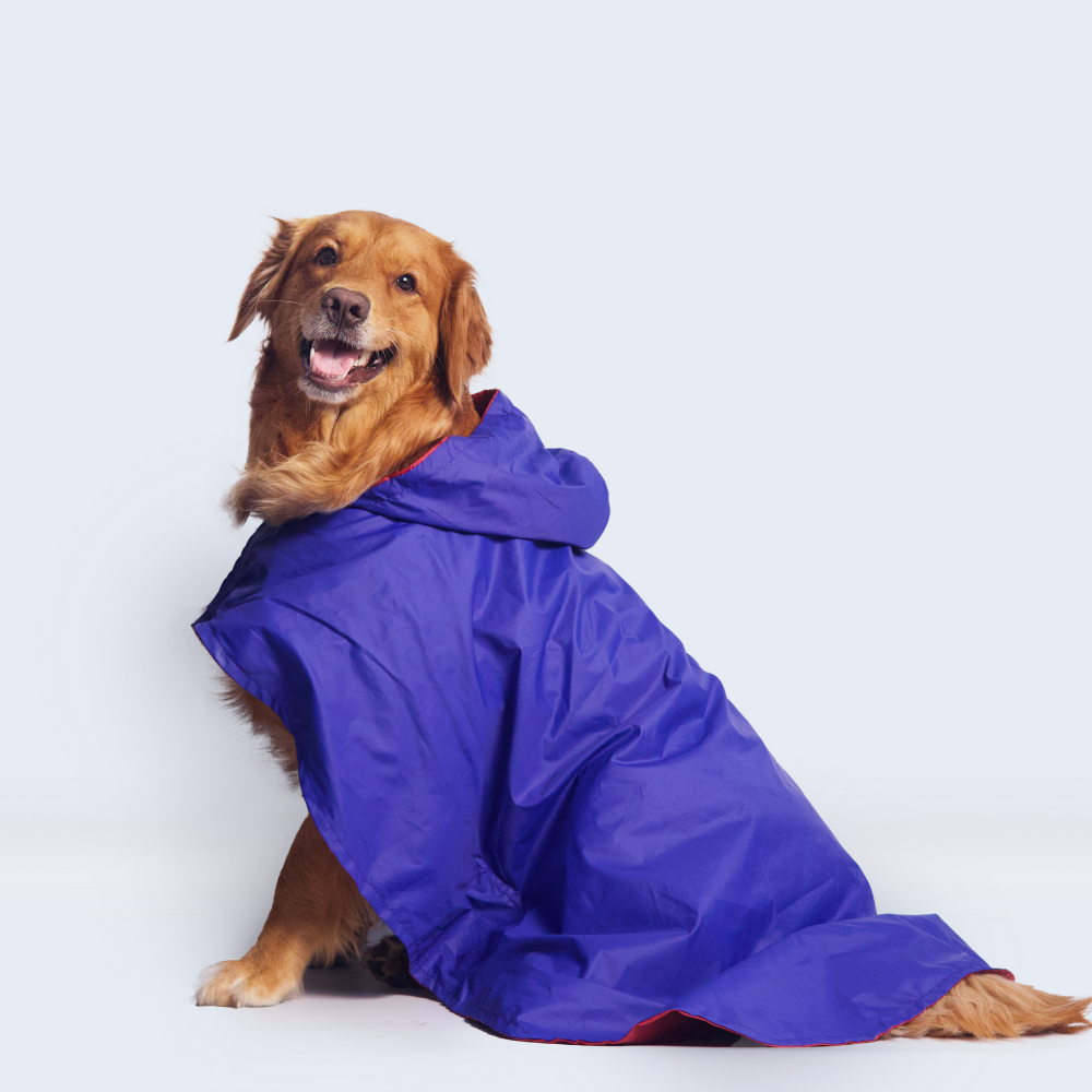 Pet Set Go Cape Style Raincoat for Dogs (Blue) image 7