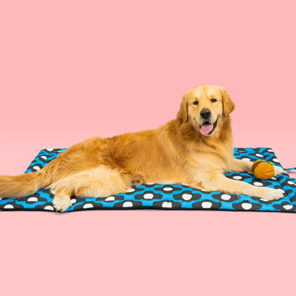 Pet Set Go Bliss Mat for Dogs and Cats (Blue) image 4