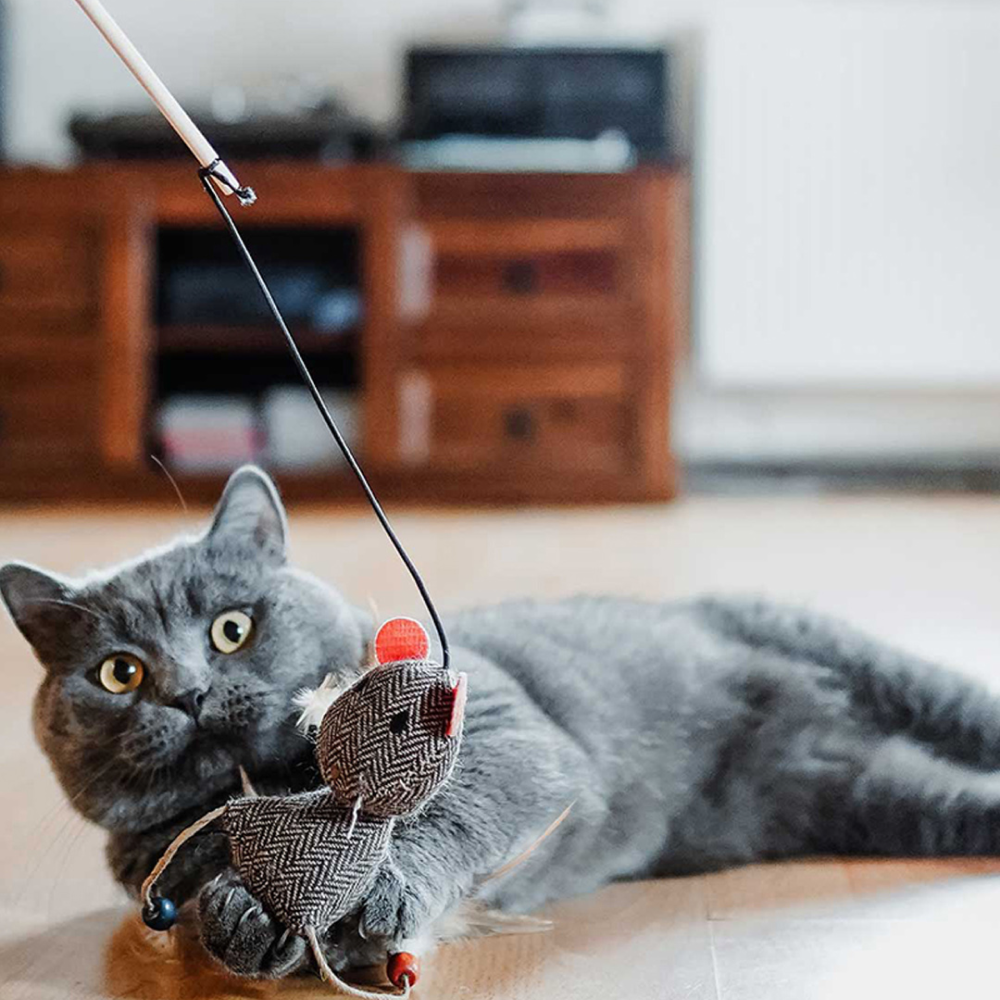 Hunter Gori Teaser Toy for Cats image 2