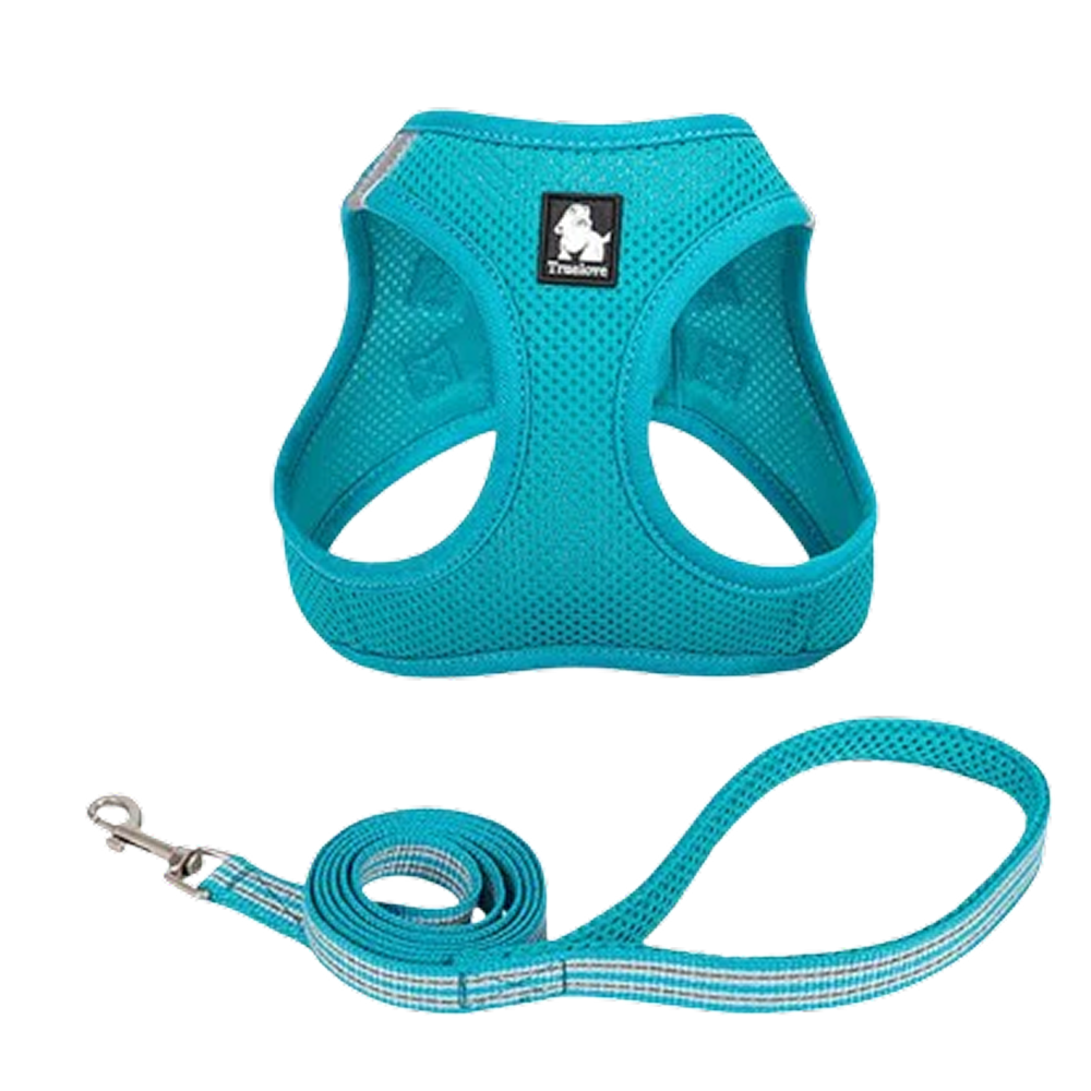 Truelove Mesh Harness & Leash Set for Cats and Small to Medium Dogs (Blue) image 1
