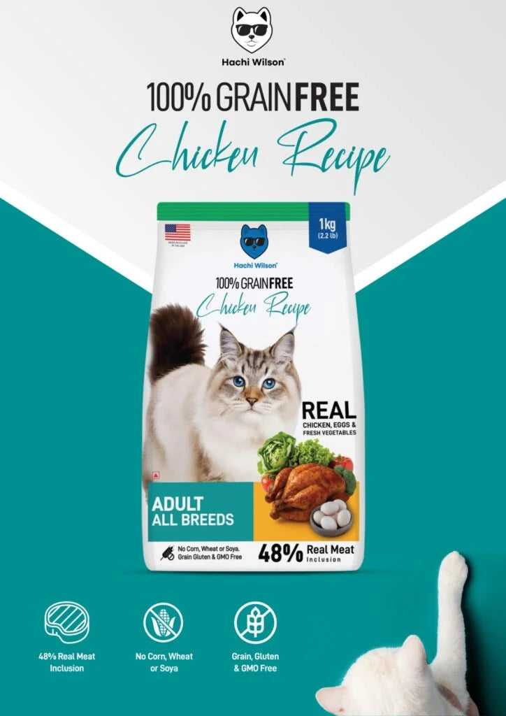 Hachi Wilson Grain Free Chicken Adult Cat Dry Food image 6