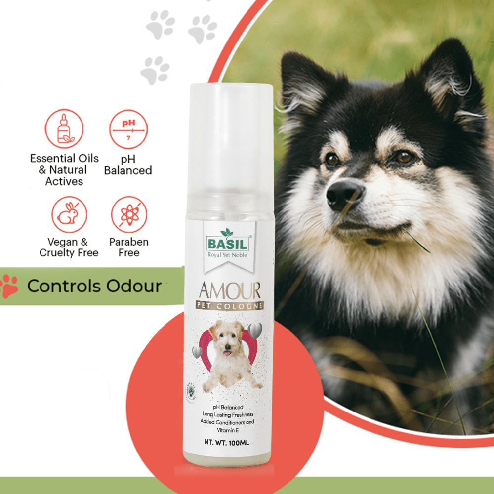 Basil Amour Cologne Spray for Dogs and Cats image 4