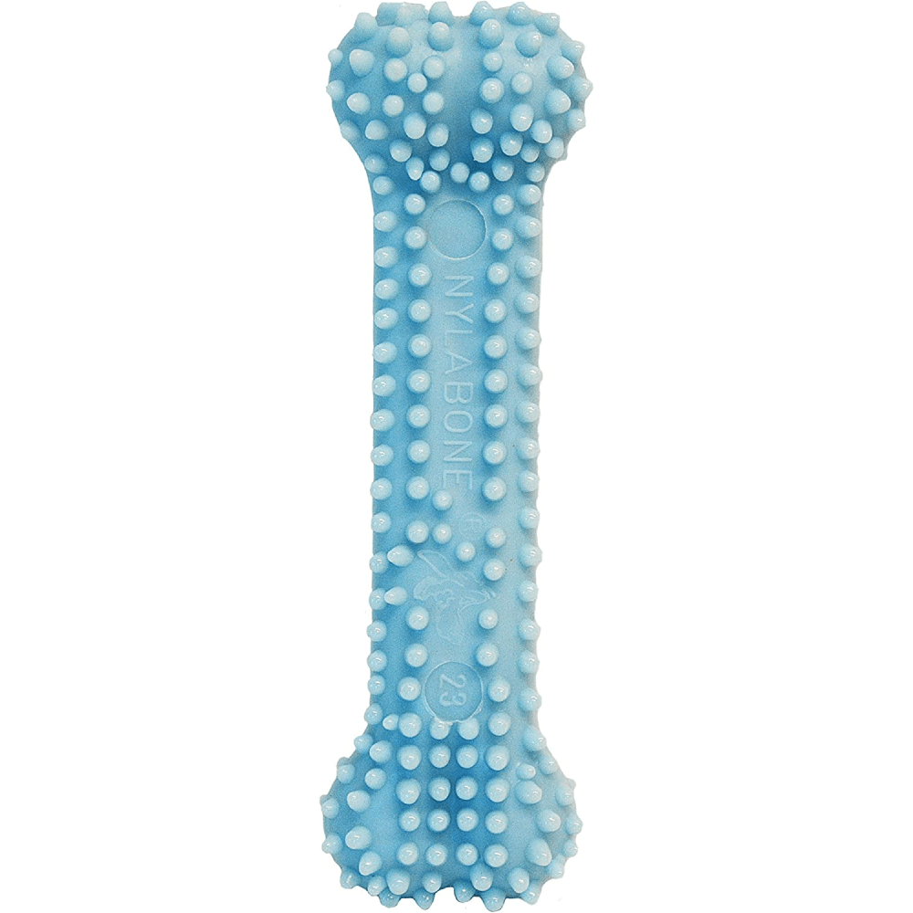 Nylabone Puppy Teething Chicken Flavoured Dental Bone Chew Toy for Dogs (Blue) image 2