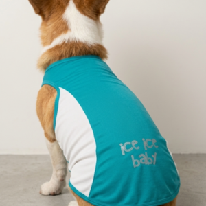 Skatrs Cooling Vest for Dogs (Blue)