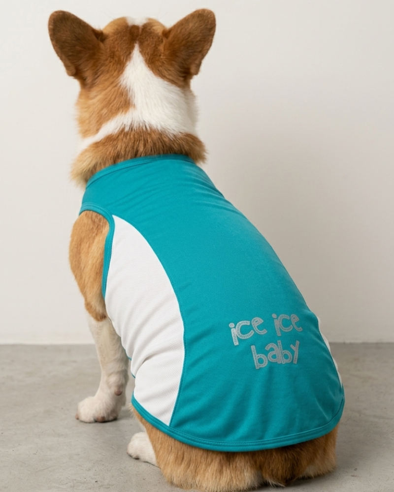 Skatrs Cooling Vest for Dogs (Blue) image 1