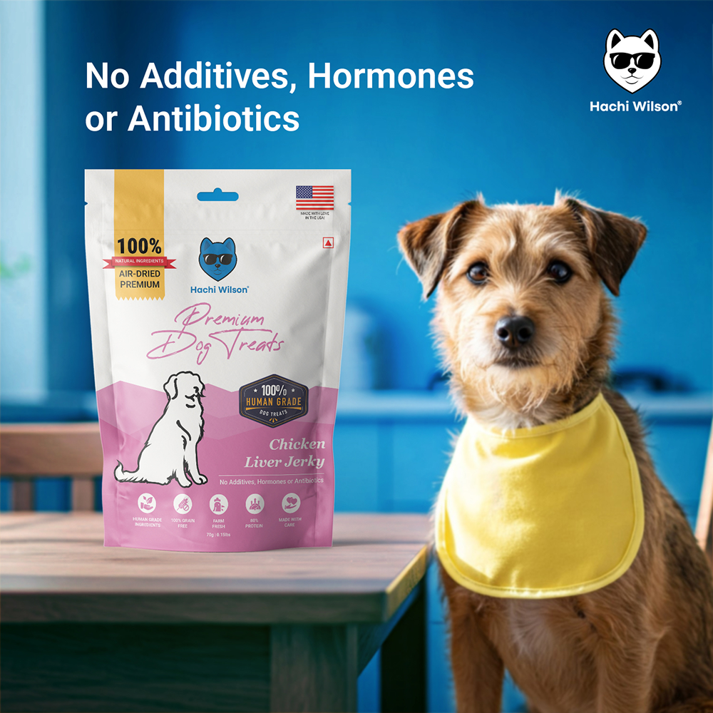 Hachi Wilson Premium Chicken Liver Jerky Dog Treat image 4
