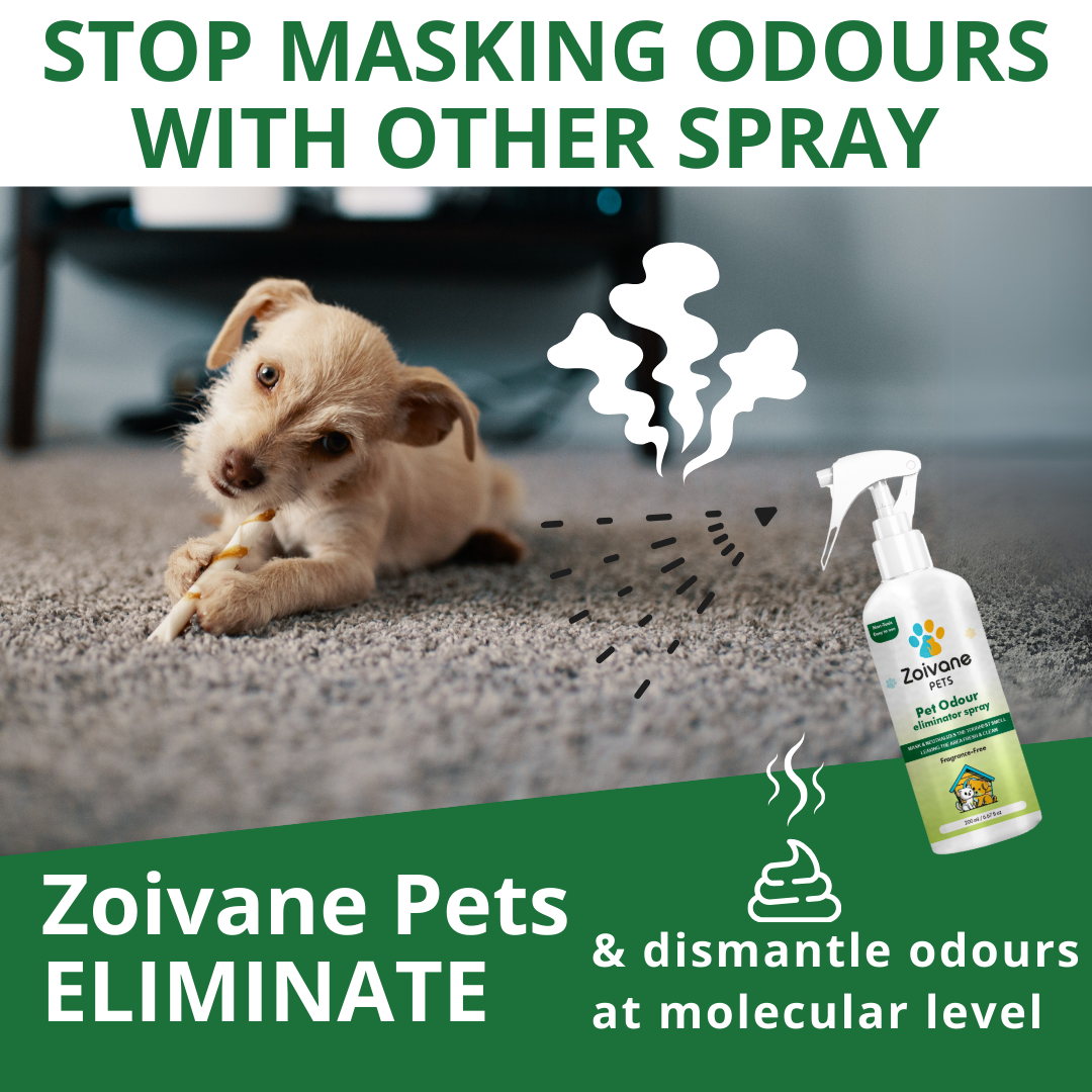 Zoivane  Pets Odour Eliminator for Dogs and Cats image 3