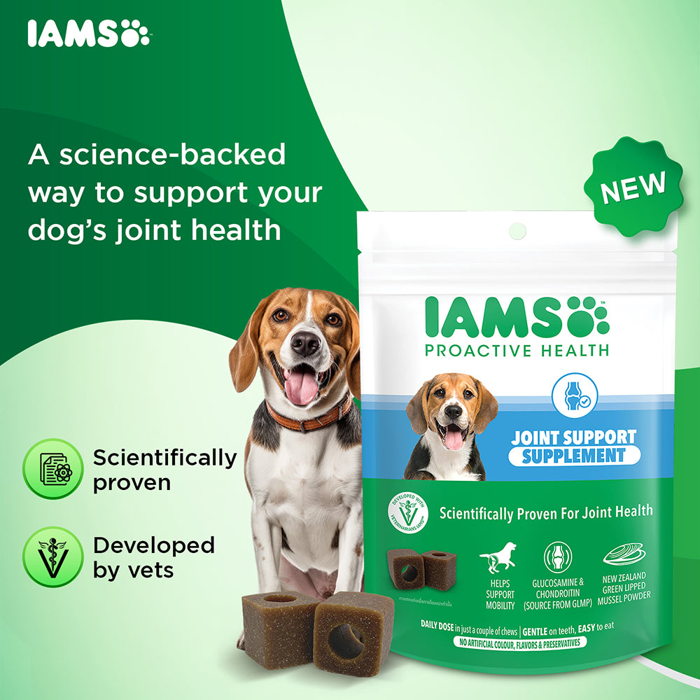 IAMS Proactive Health Dog Supplement For Joint Support image 3