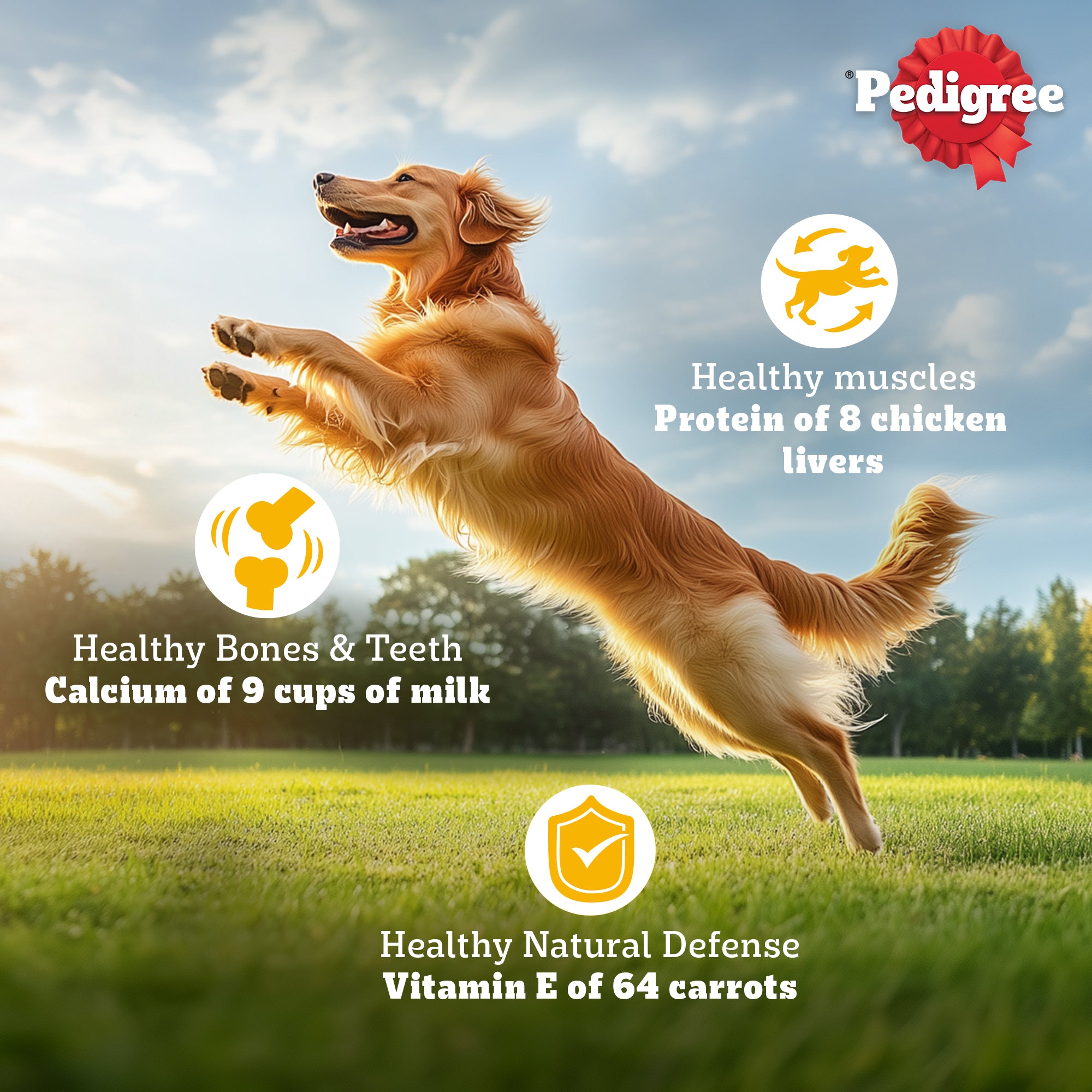 Pedigree Chicken, Egg and Rice Adult Dog Dry Food image 9