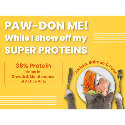 Bark Out Loud Salmon and Chicken Adult Cat Dry Food image 3