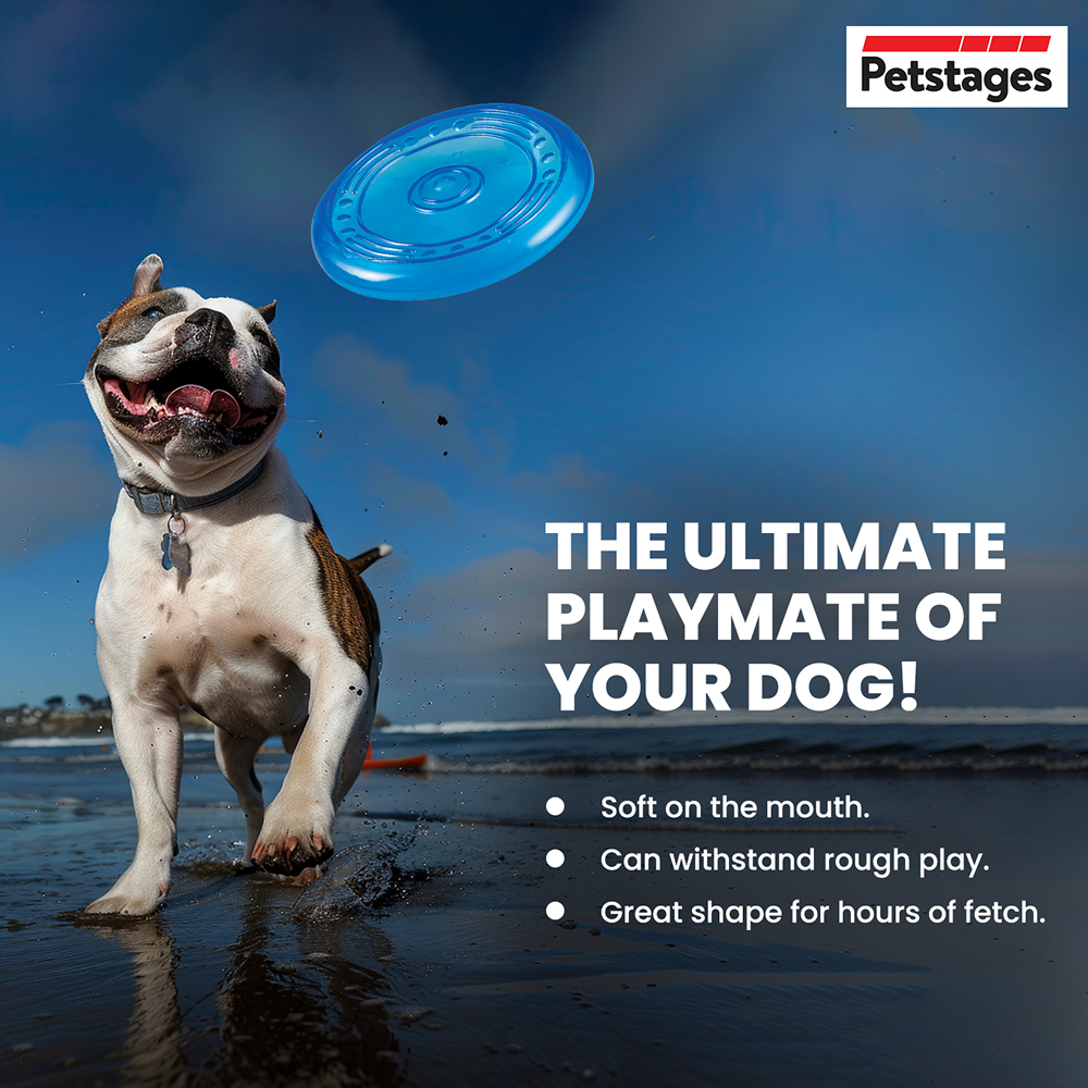Petstages Orka Flyer Toy for Dogs (Blue) image 5