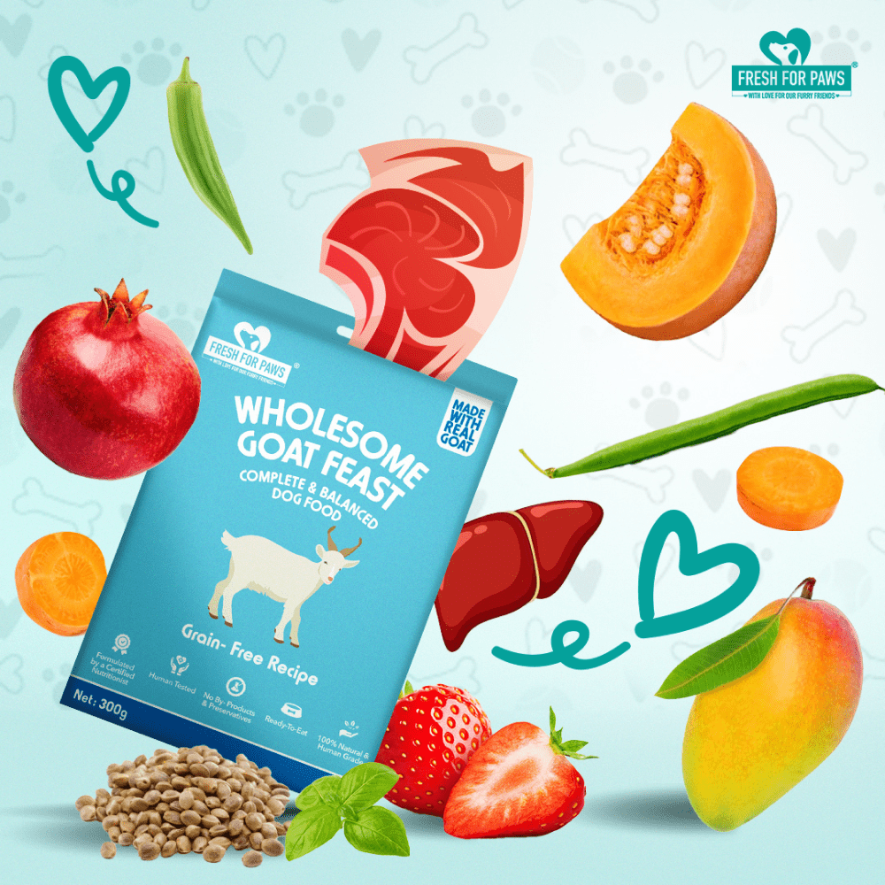 Fresh For Paws Wholesome Goat Feast Wet Food for Dogs (100g) image 3
