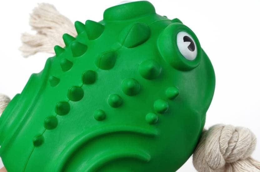 Pawsindia The Mighty Toad Toy for Dogs image 5