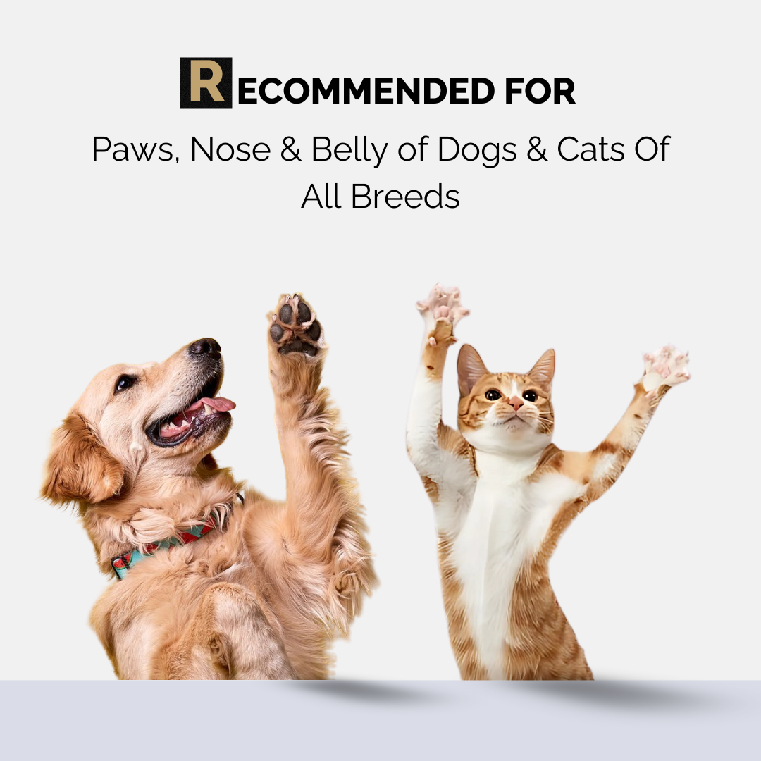 Moe Puppy Vitamin E Shea Butter Paw Cream for Dogs & Cats image 6