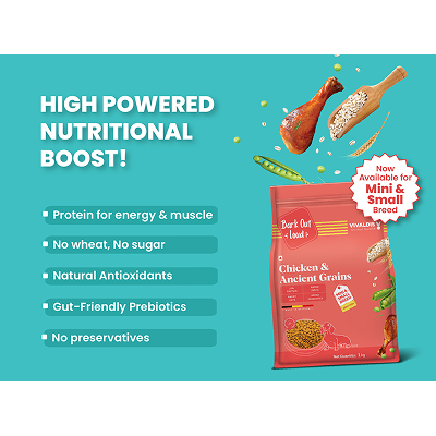 Bark Out Loud Chicken & Ancient Grains Mini and Small Breed Adult Dog Dry Food image 3