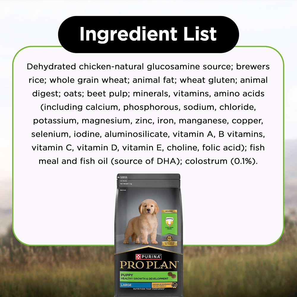Pro Plan Chicken Large Breed Puppy Dog Dry Food (New Improved Formula) image 8