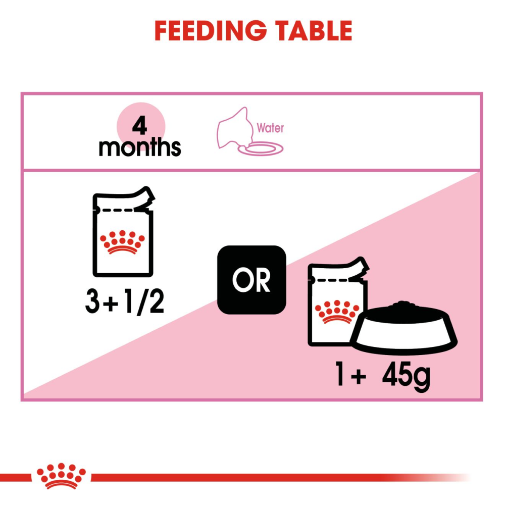 Royal Canin Kitten Jelly and Kitten Loaf Cat Wet Food Combo image 7