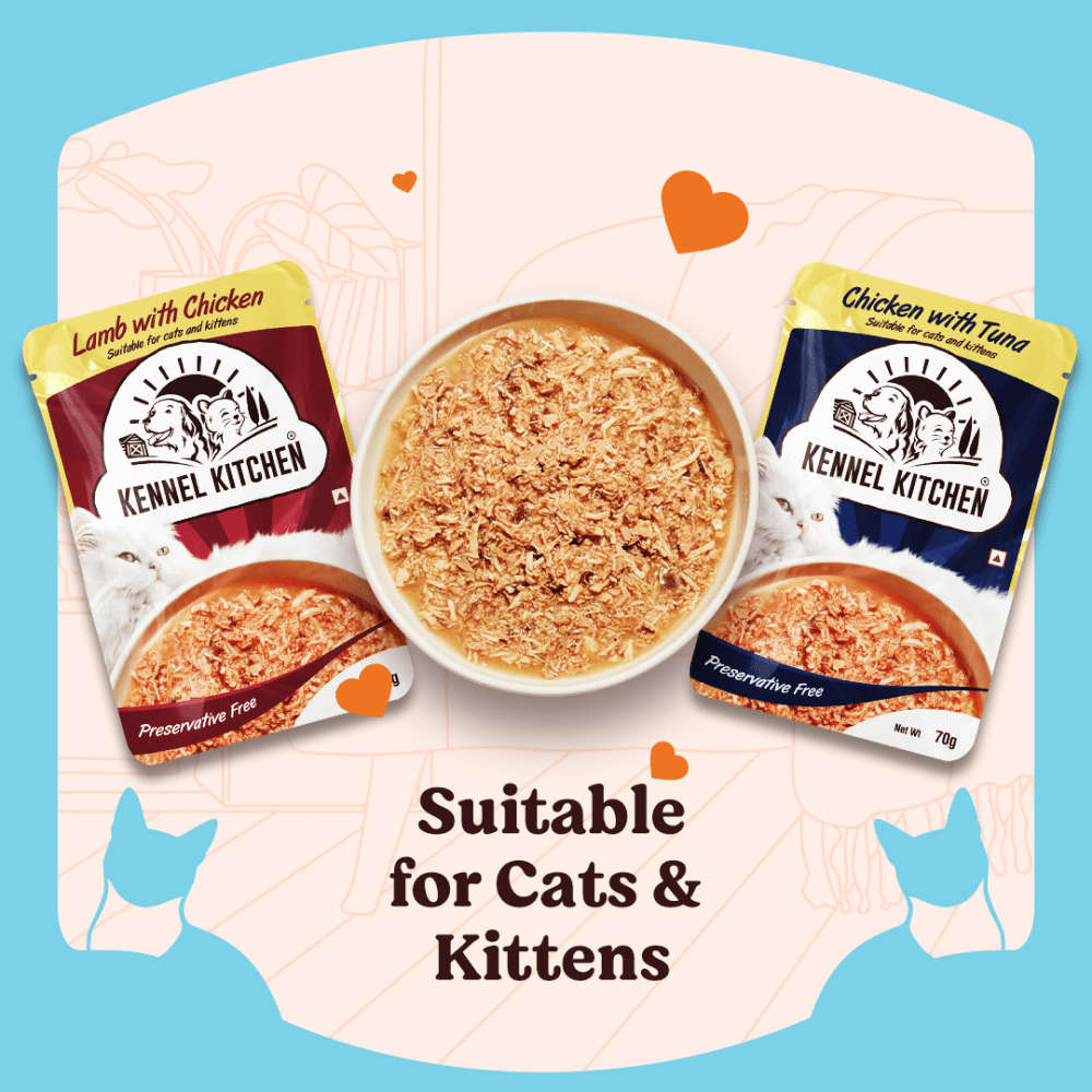 Kennel Kitchen Chicken with Tuna Shreds in Gravy Kitten & Adult Cat Wet Food (All Life Stage) image 10
