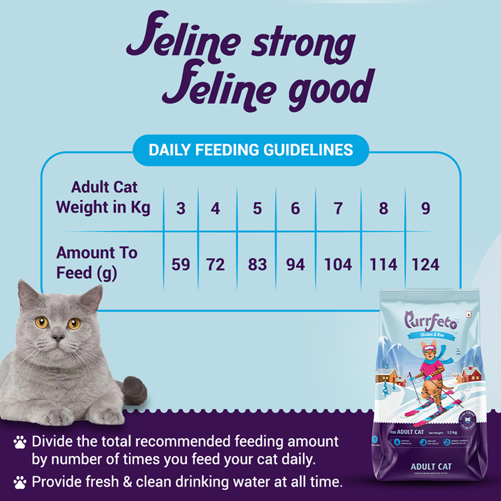 Purrfeto Chicken and Rice Adult Cat Dry Food image 4