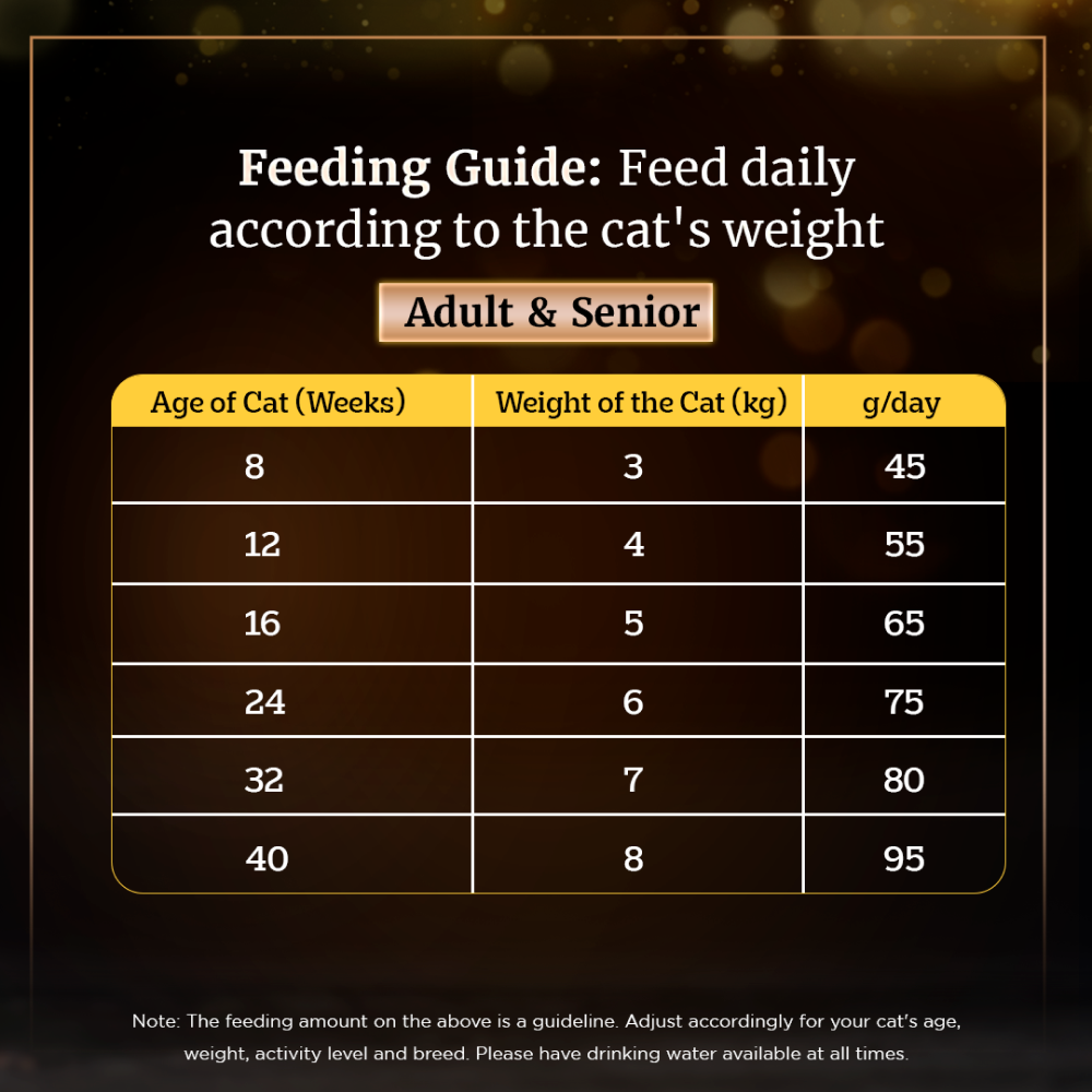 Sheba Skipjack & Salmon Fish Mix Cat Wet Food and Chicken Flavour Irresistible All Life Stage Cat Dry Food Combo image 9