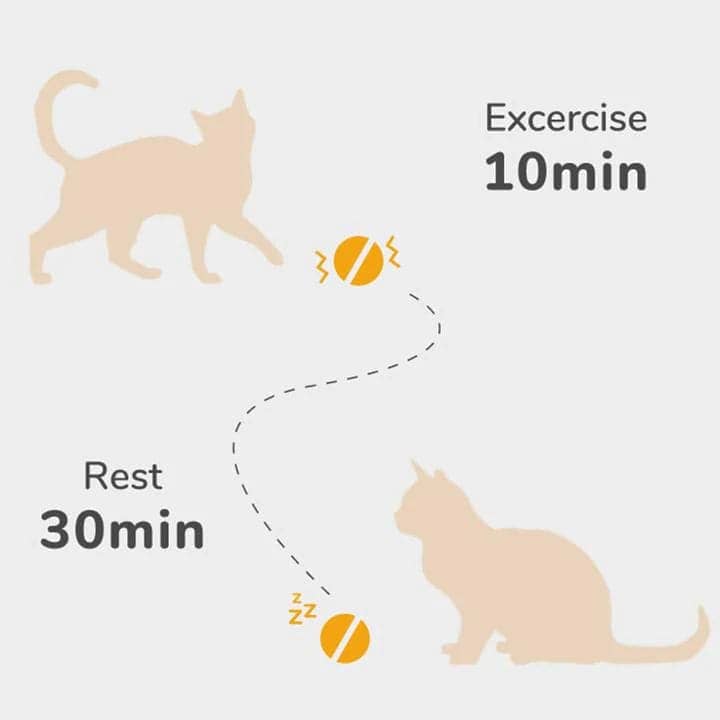 Cheerble Electronic Ball Toy for Cats (Grey) image 5