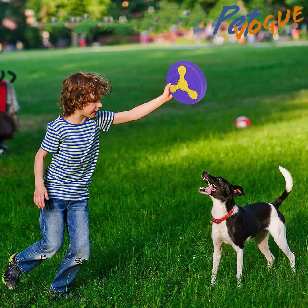Pet Vogue Disc Toy with Detachable Boomerang for Dogs image 5