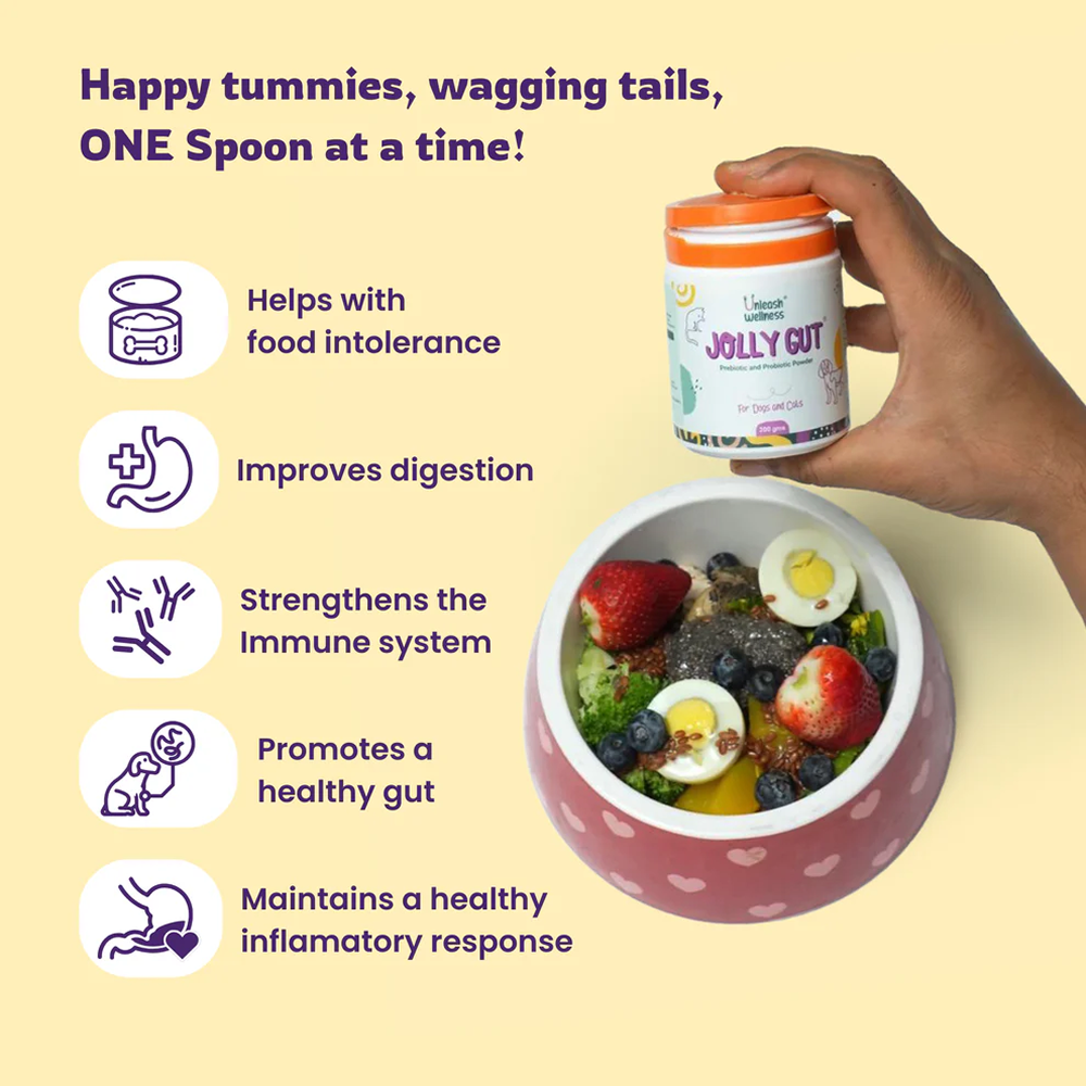 Unleash Wellness Jolly Gut Pre and Pro Biotic Supplement for Dogs and Cats image 5