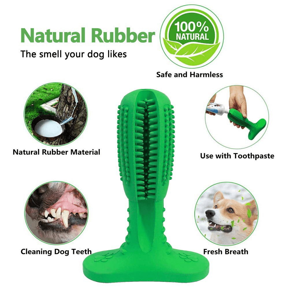 Pawsindia Dental Toy for Dogs (Blue) image 4