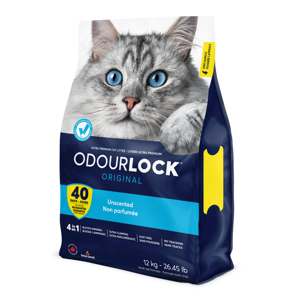 Intersand Unscented Odour Lock Cat Litter image 8