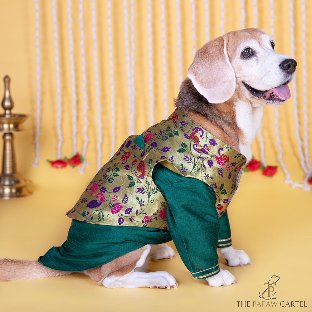 The Papaw Cartel Paithani Koti Kurta for Dogs & Cats (Green)