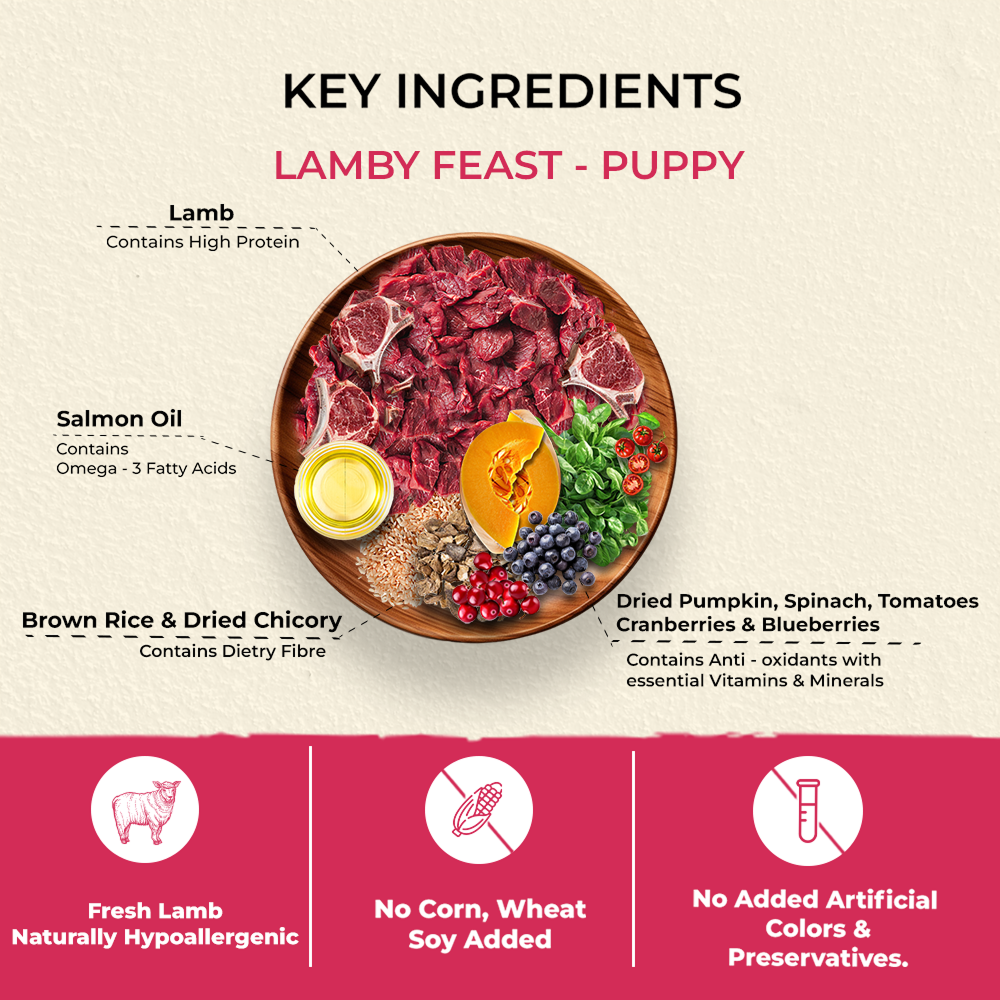 Bruno's Wild Essentials Lamby Feast Puppy Dry Food image 2