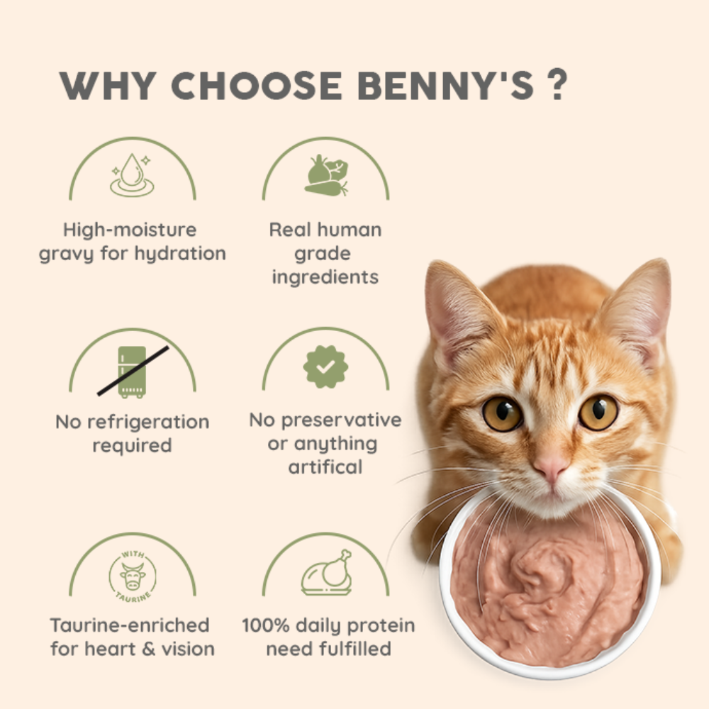 Benny's Bowl Mackerel Fish & Chicken Mousse Wet Food for Cats image 7