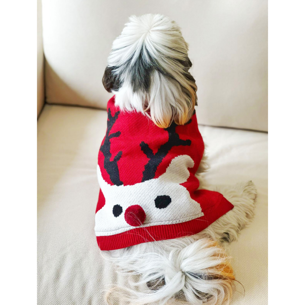Dogobow Reindeer Knit Sweater for Dogs and Cats (Red) (Get a Bow Free) image 6