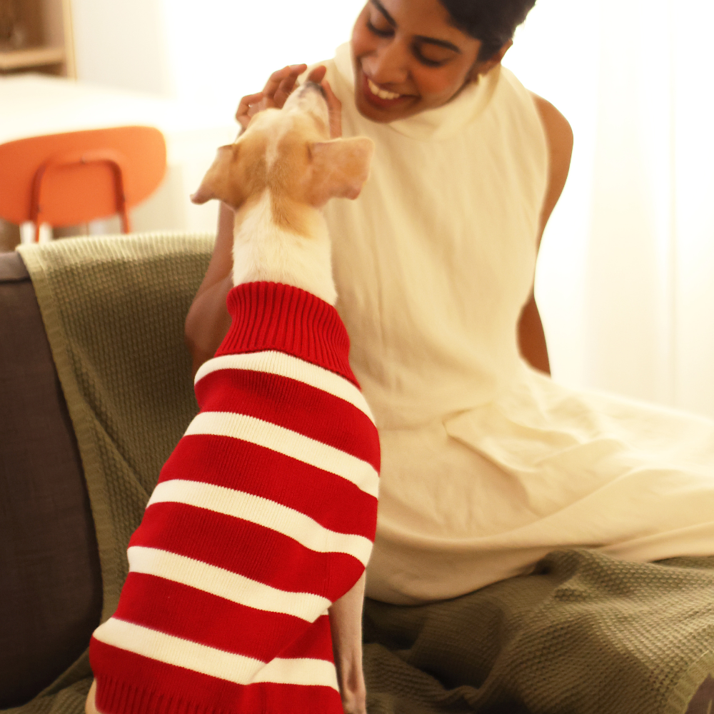 Pet Set Go Striped Sweater for Dogs (Red) image 7