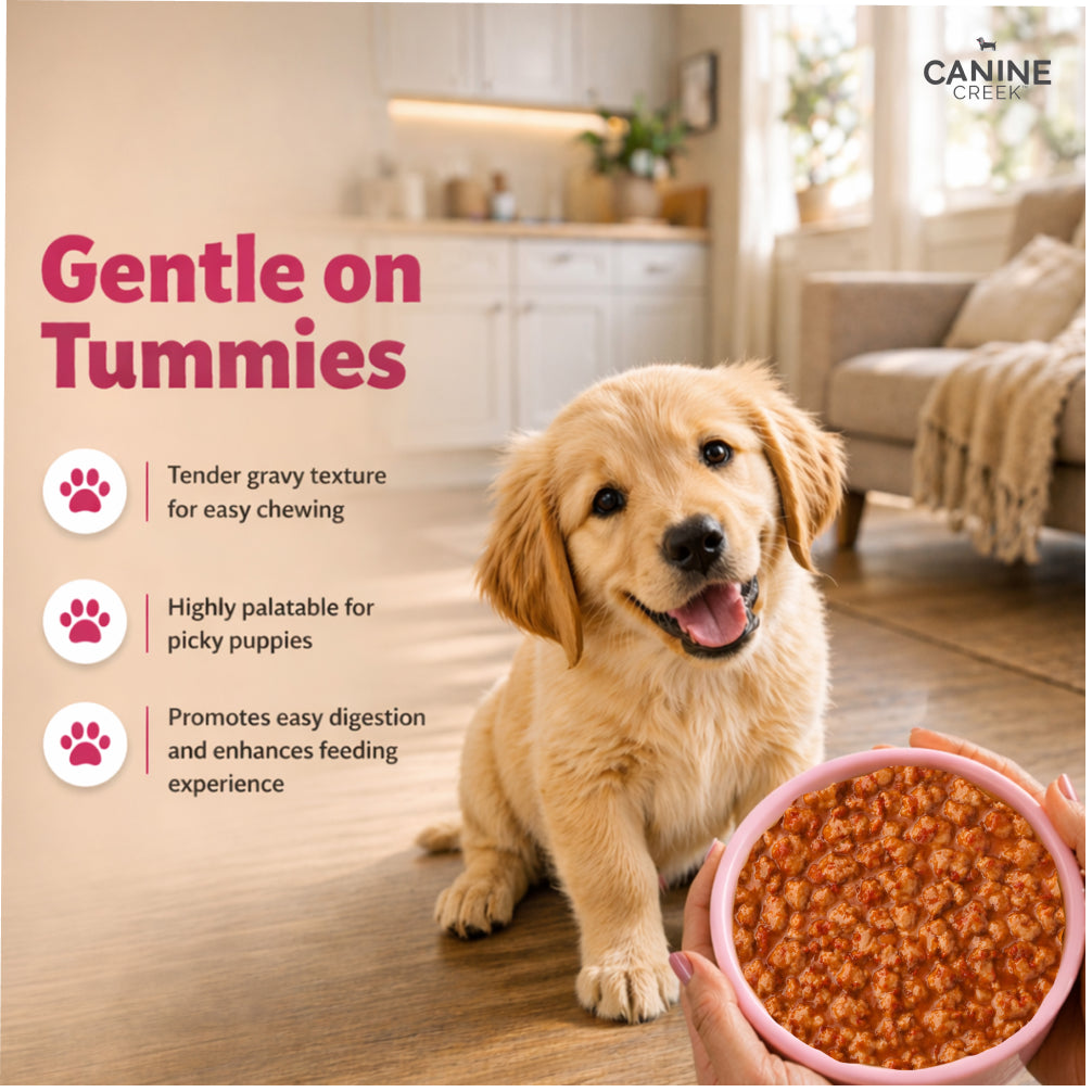 Canine Creek Real Chicken Gravy Puppy Wet Food image 6