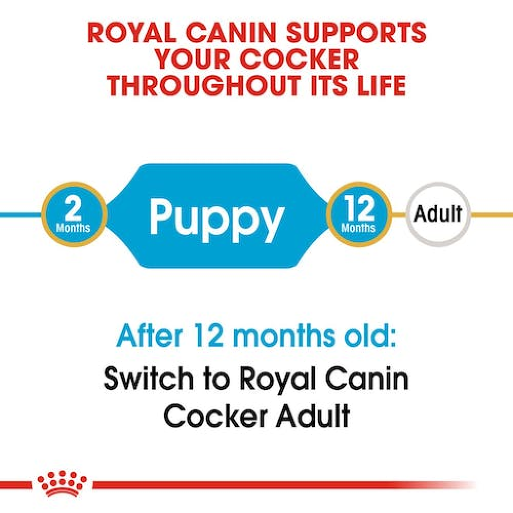 Royal Canin Cocker Puppy Dry Food image 6