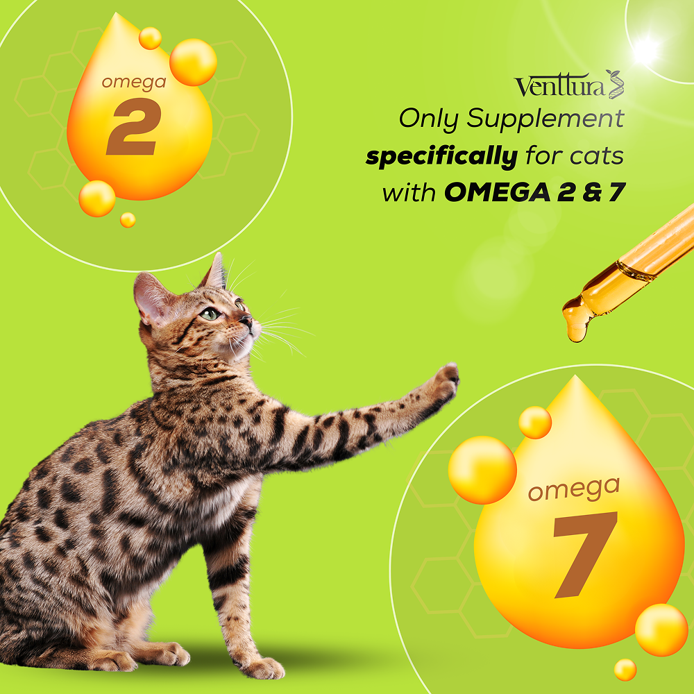 Venttura Healthy Skin & Glowing Coat Omega Fatty Acid Supplement for Cats image 2