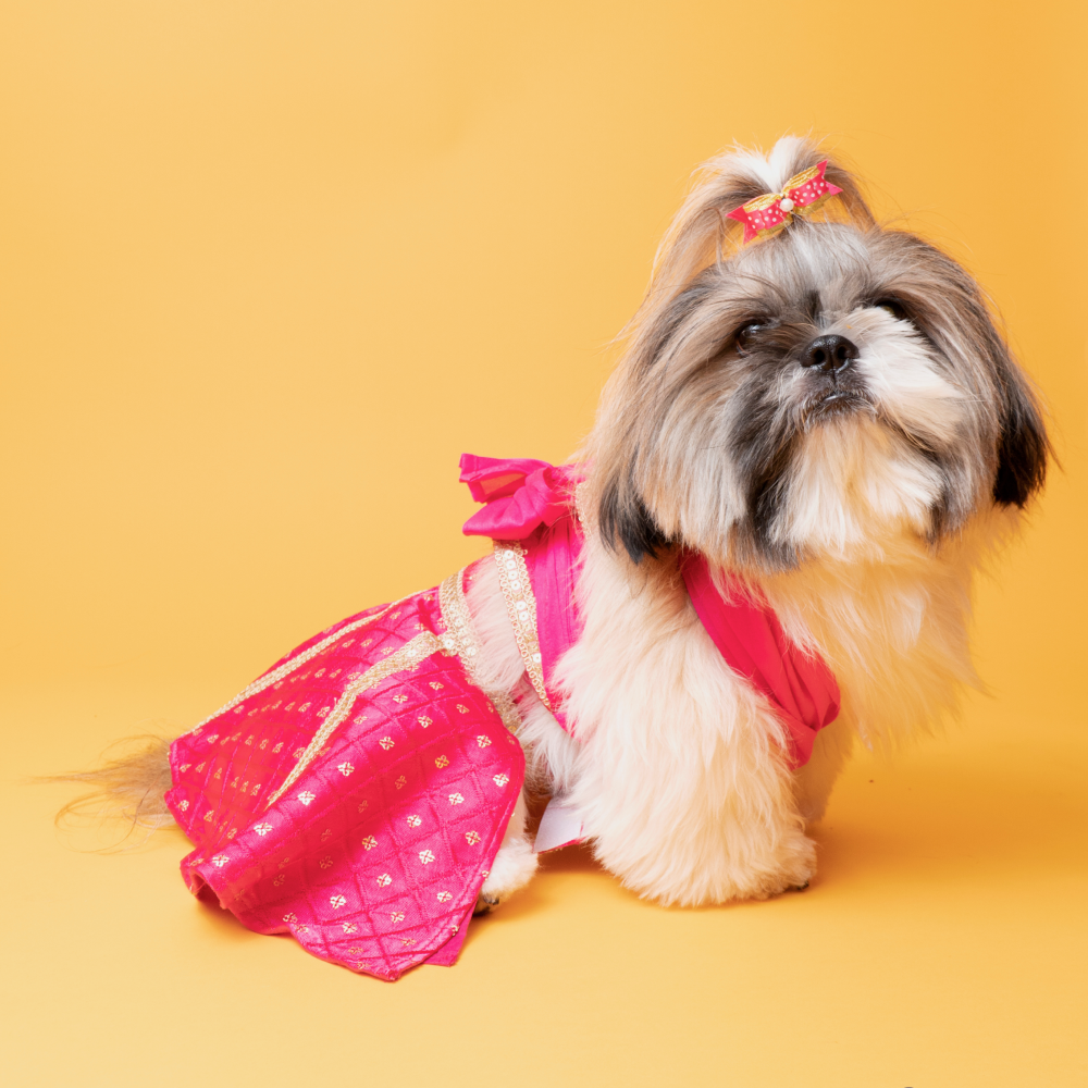 The Papaw Cartel Crossbody Choli With Hot Embroidered Lehenga For Dogs (Pink) image 1
