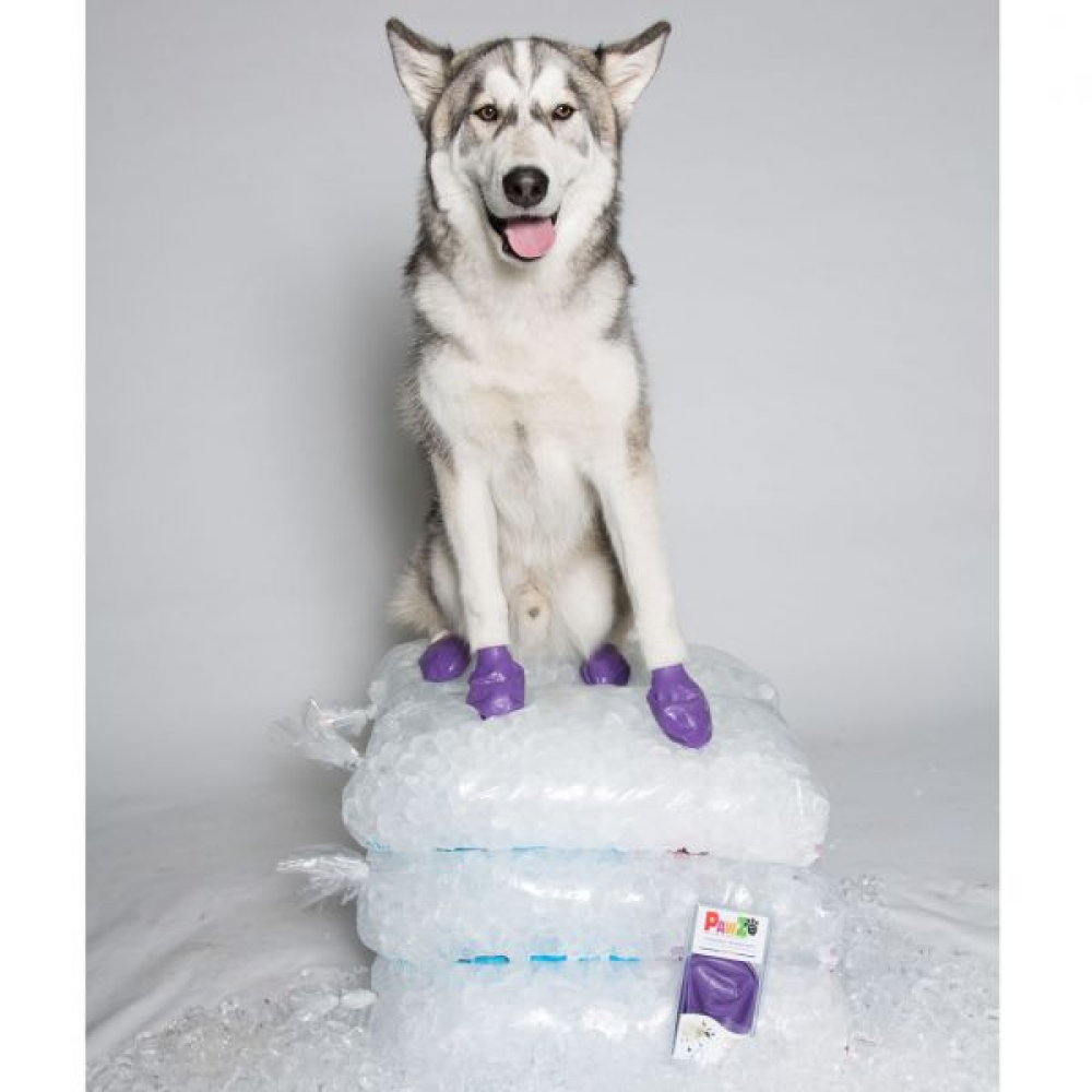 Protex PawZ Disposable and Reusable Boots for Dogs (Purple) image 4