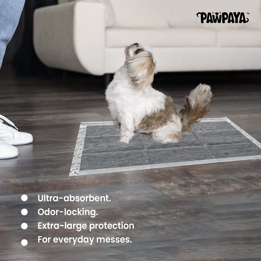 Pawpaya Carbon Training Pad for Dogs (White) image 2