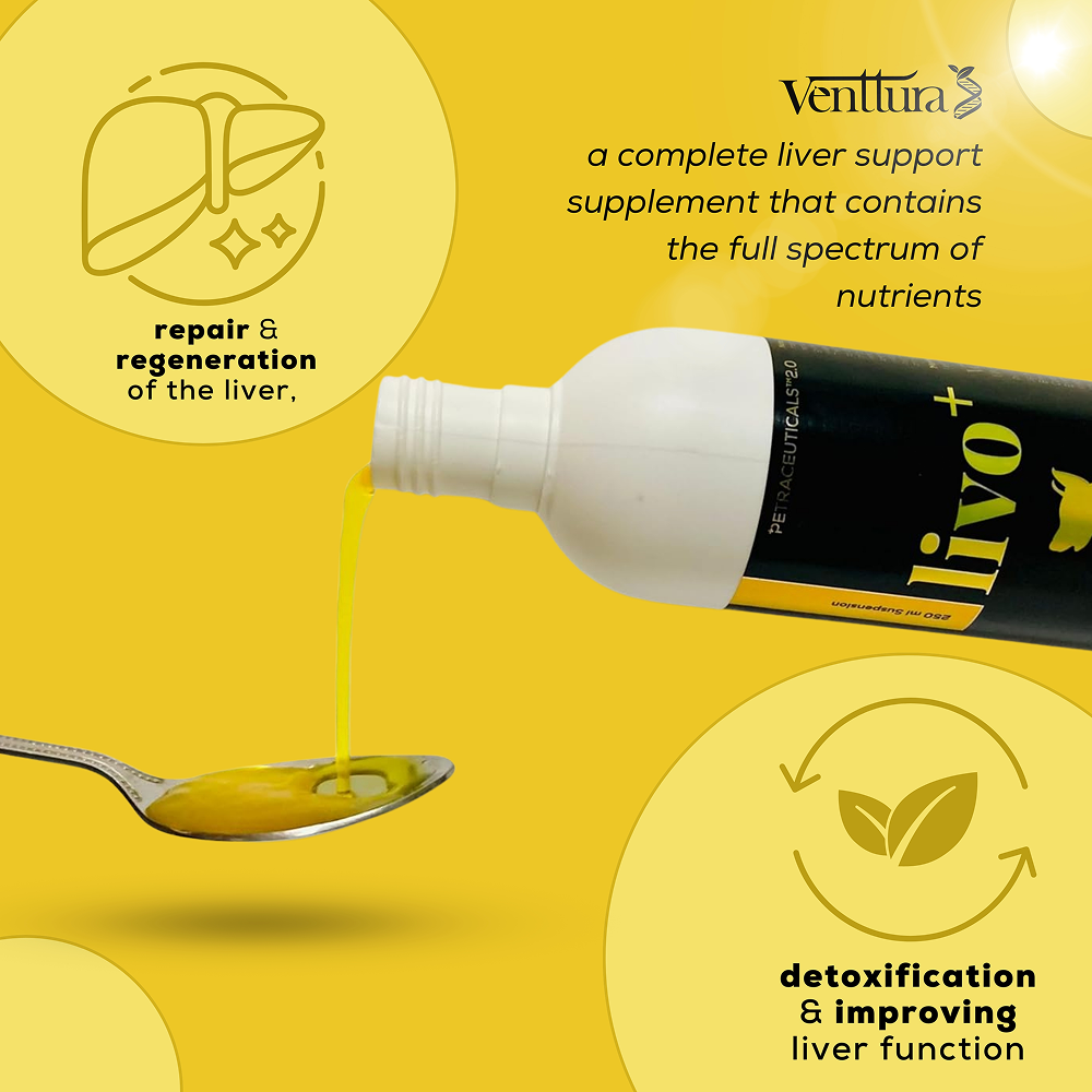 Venttura Livo Plus Liver Supplement Syrup for Dogs image 3