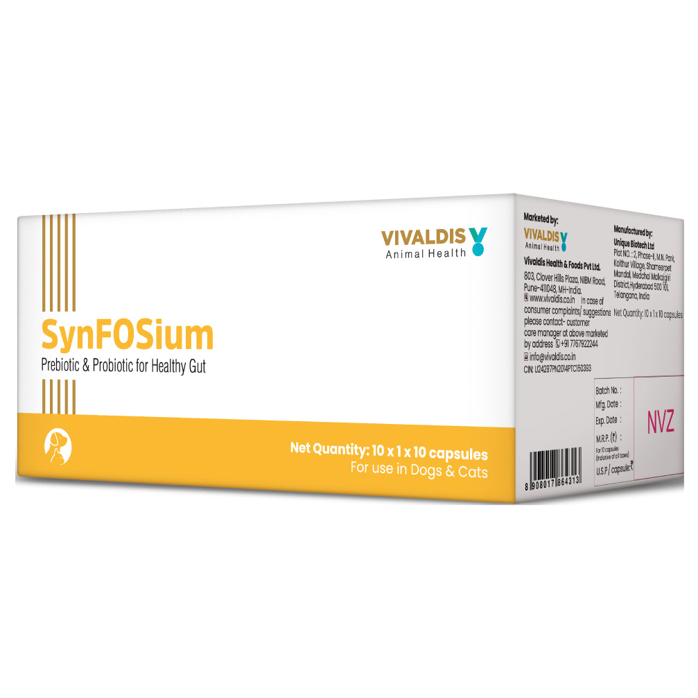 Vivaldis Synfosium Pre Probiotic Capsule for Dogs & Cats image 3