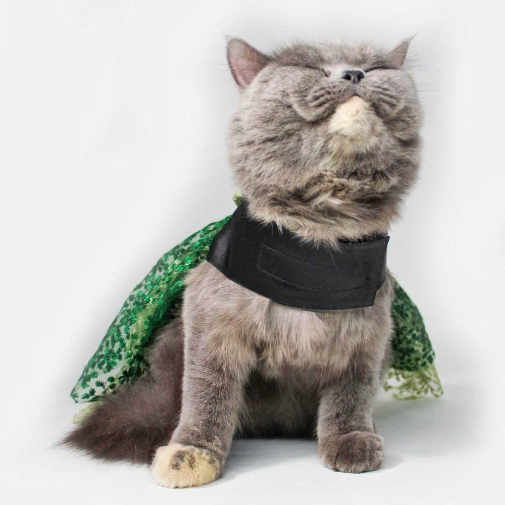 Dogobow Princess Dress for Dogs and Cats (Green) (Get a Bow Free) image 4